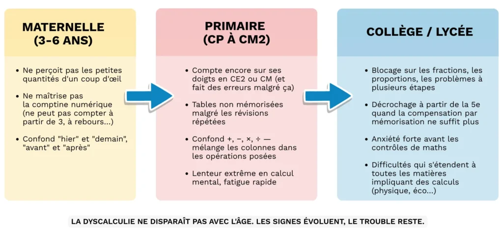 Frise chronologique des signes de dyscalculie par tranche d'âge : maternelle, primaire CP-CM2, collège et lycée